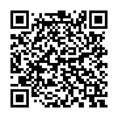 QR code for 380MPX