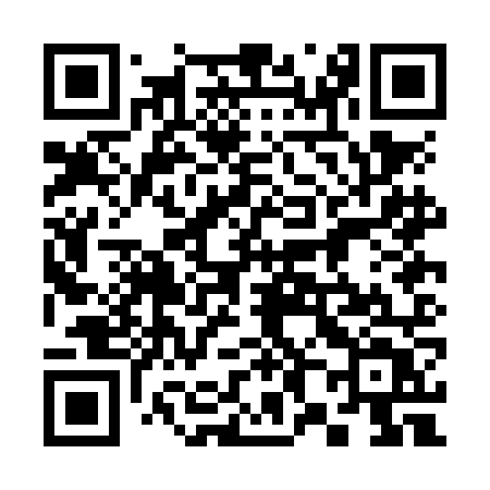 QR code for 380NNT