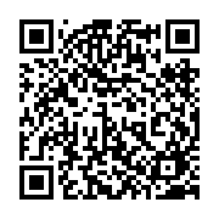 QR code for 381BAG