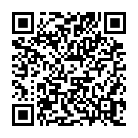 QR code for 381CGF