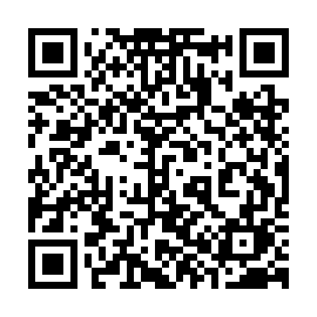QR code for 381CGL