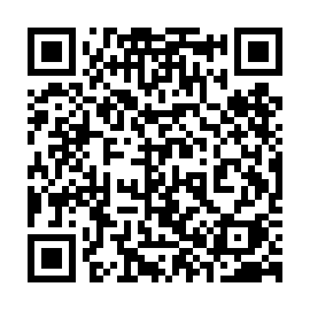 QR code for 381DCI