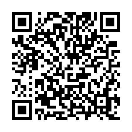 QR code for 381GSN