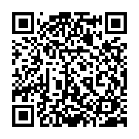 QR code for 381MSO