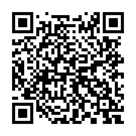 QR code for 381MYG
