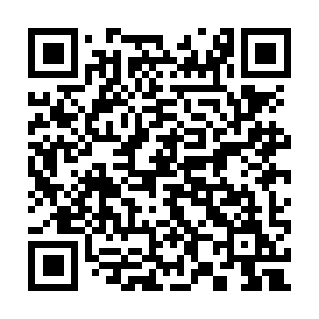 QR code for 381NIM