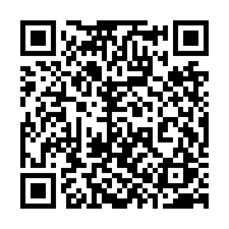 QR code for 381NRS