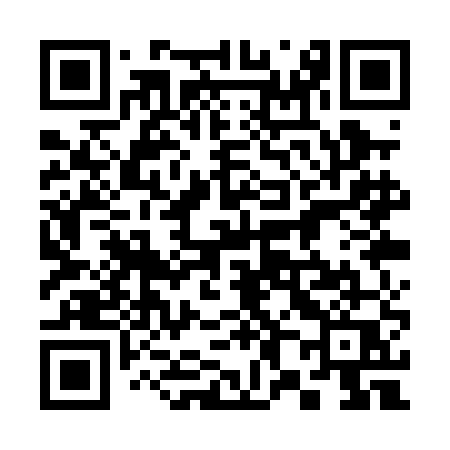 QR code for 381PEQ