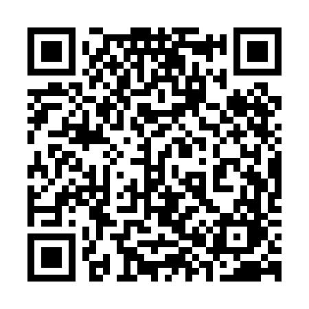 QR code for 381PFO