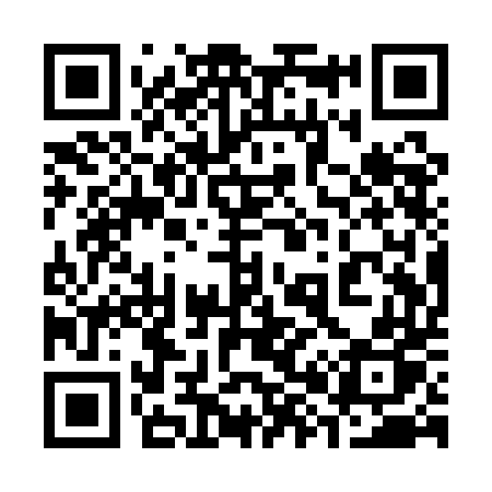 QR code for 381QDP