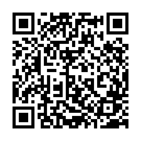 QR code for 381QDR