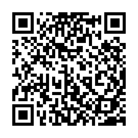 QR code for 381QII