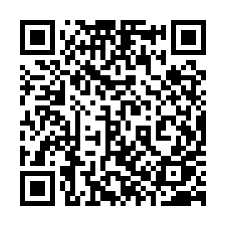 QR code for 381QPP