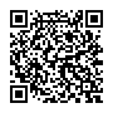 QR code for 381QZU