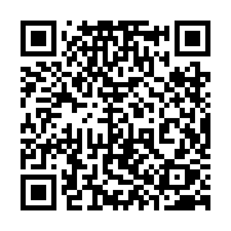 QR code for 381SKX