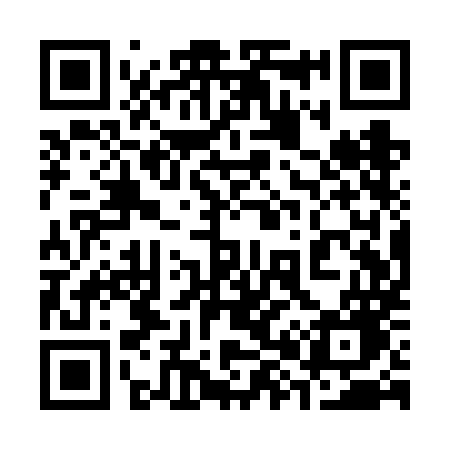 QR code for 381VMG