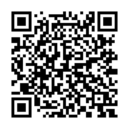 QR code for 381XJR
