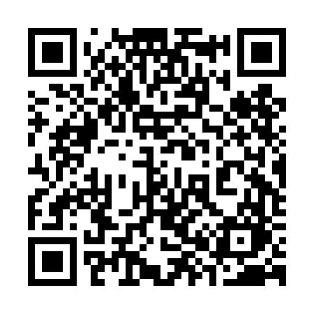 QR code for 382DFO