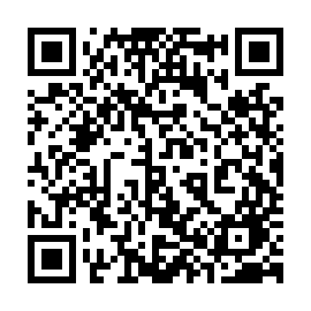 QR code for 382LUG