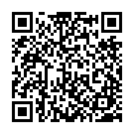 QR code for 382NNL