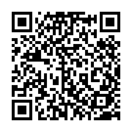 QR code for 382PEJ