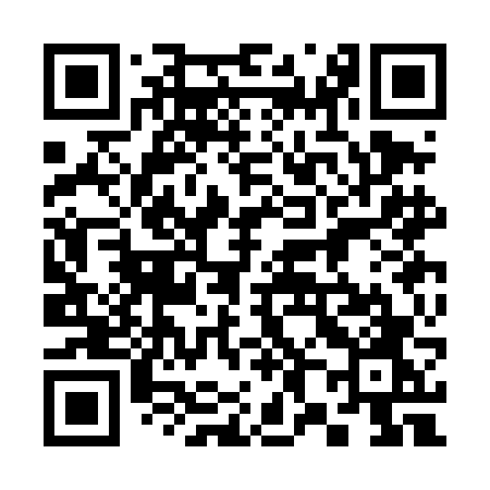 QR code for 383DFO