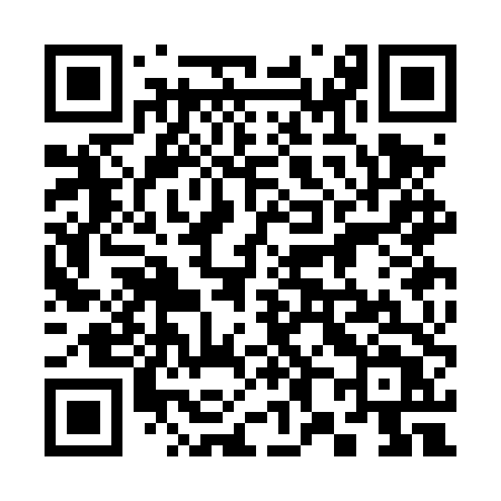 QR code for 383DTT