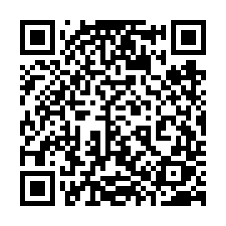 QR code for 383FTX