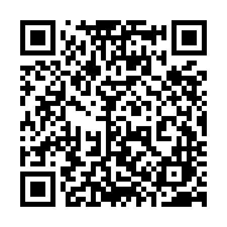 QR code for 383MNL