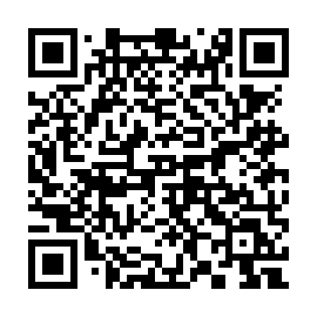 QR code for 383NML