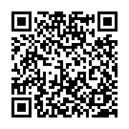 QR code for 383NZW