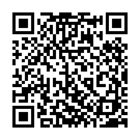 QR code for 383PFI
