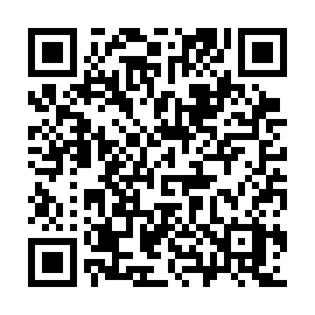 QR code for 383SCX