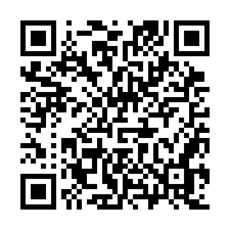 QR code for 383SON