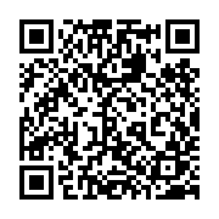 QR code for 383TIR