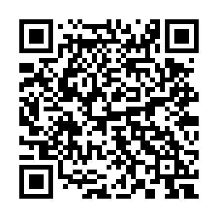 QR code for 383TRK