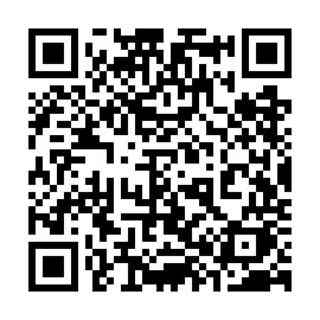 QR code for 383WOK