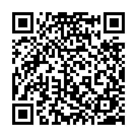 QR code for 383ZOL