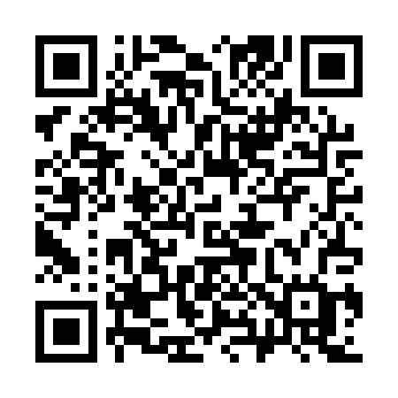 QR code for 384APG