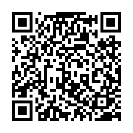 QR code for 384BUS