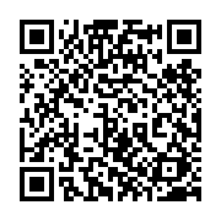 QR code for 384DBK