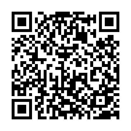 QR code for 384DPW
