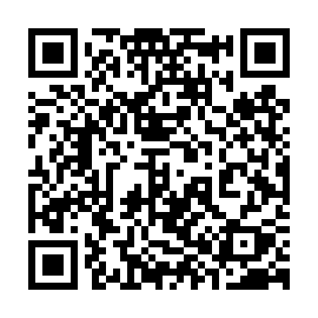 QR code for 384DSY