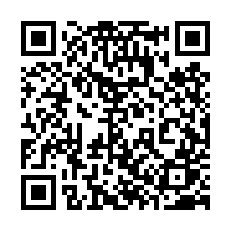 QR code for 384DUR