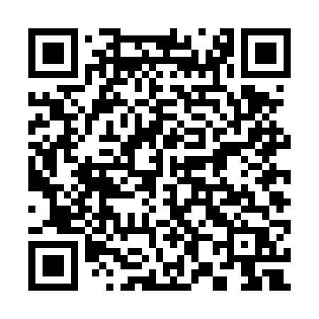 QR code for 384DVP