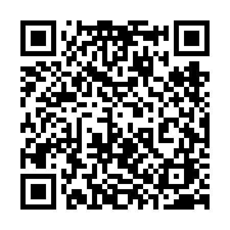 QR code for 384FGC