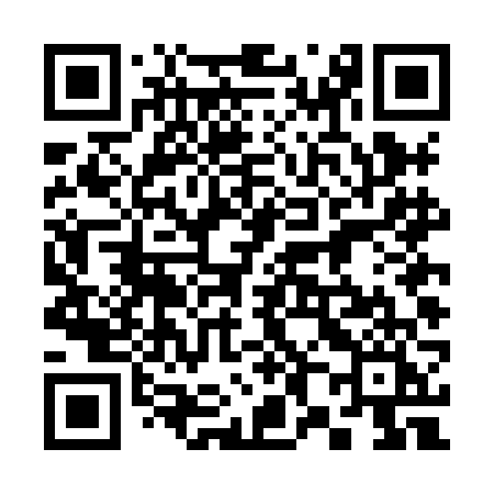 QR code for 384HFI