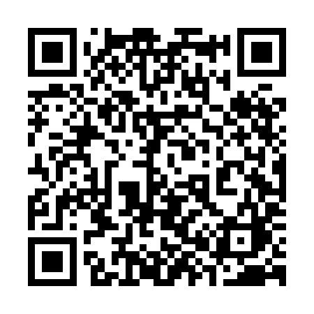 QR code for 384HIC