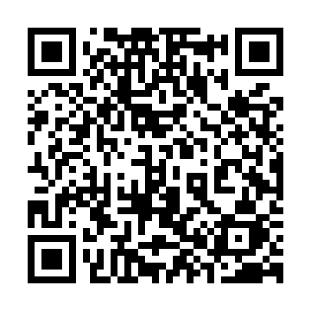 QR code for 384MSJ