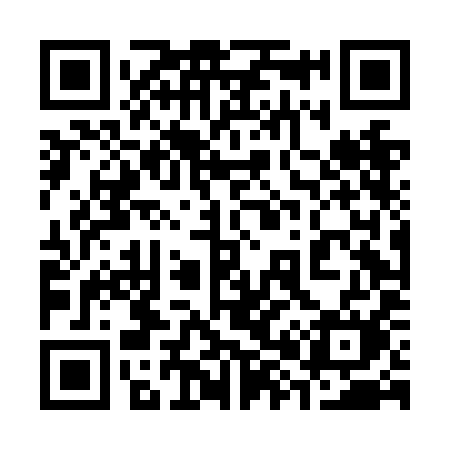 QR code for 384NIM